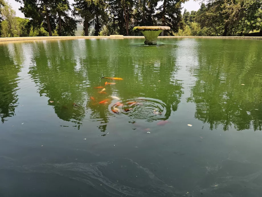 Fonte de Eleousa