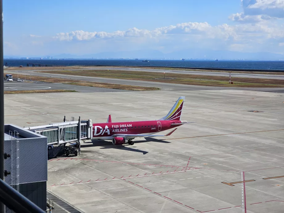Terraço de observação