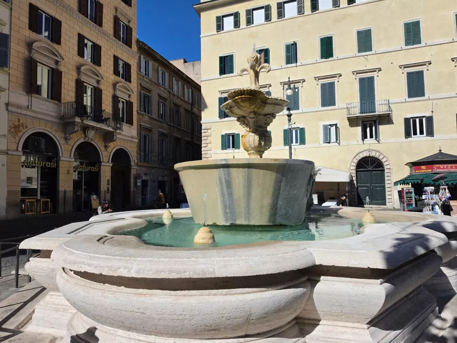 Campo de' Fiori, fonte