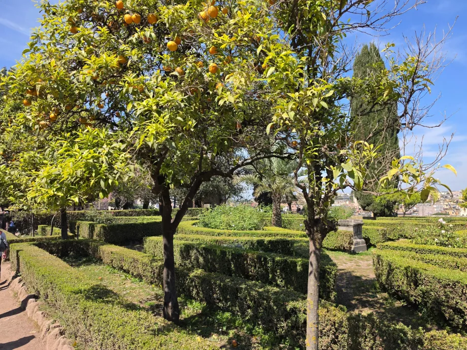 Palatina