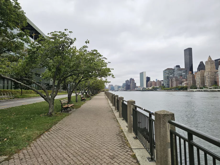 Passeio marítimo na Ilha Roosvelt