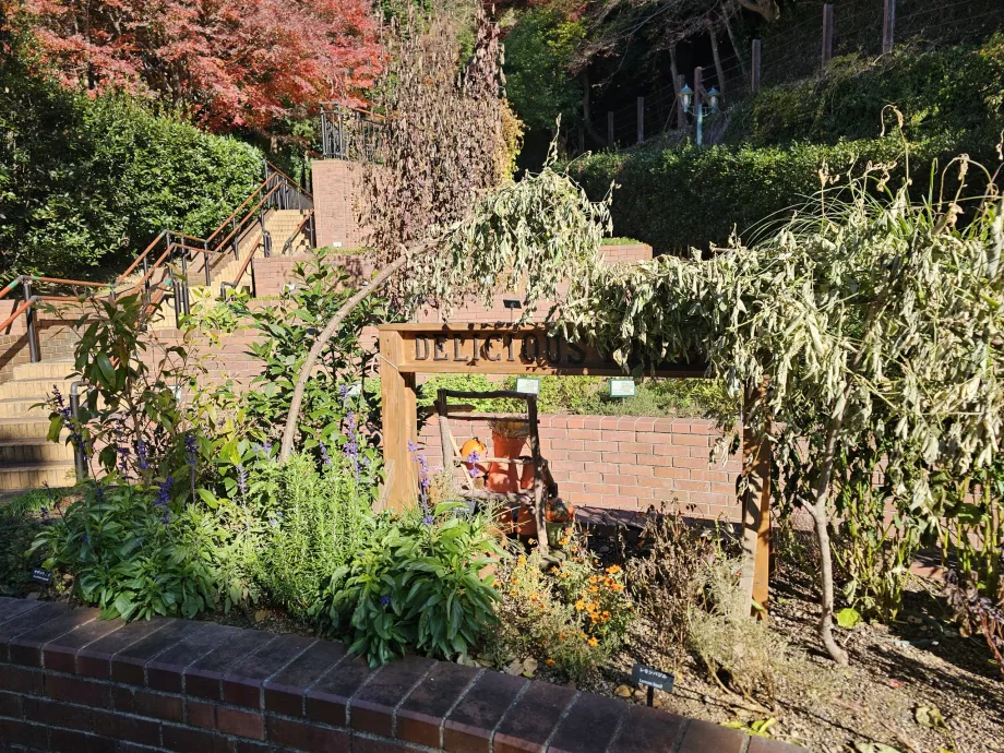 Jardins de ervas de Nunobiki