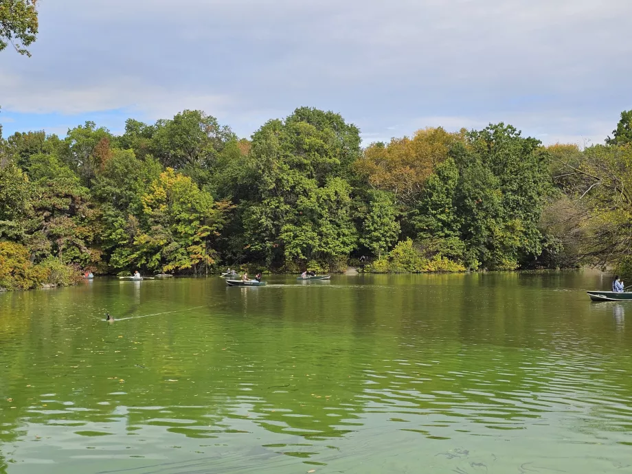 Lago no Central Park