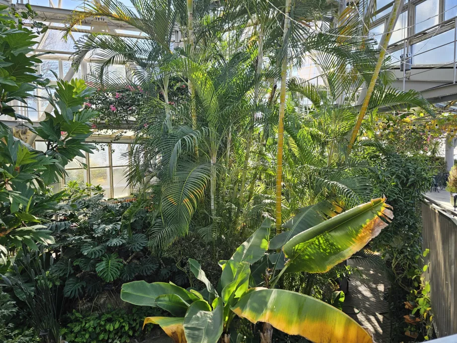 Estufa nos jardins de ervas de Nunobiki