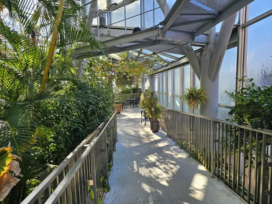 Estufa nos jardins de ervas de Nunobiki