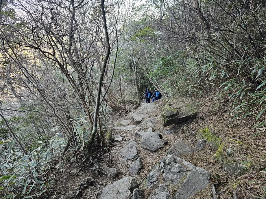 Trilho de caminhada nas montanhas Rokko