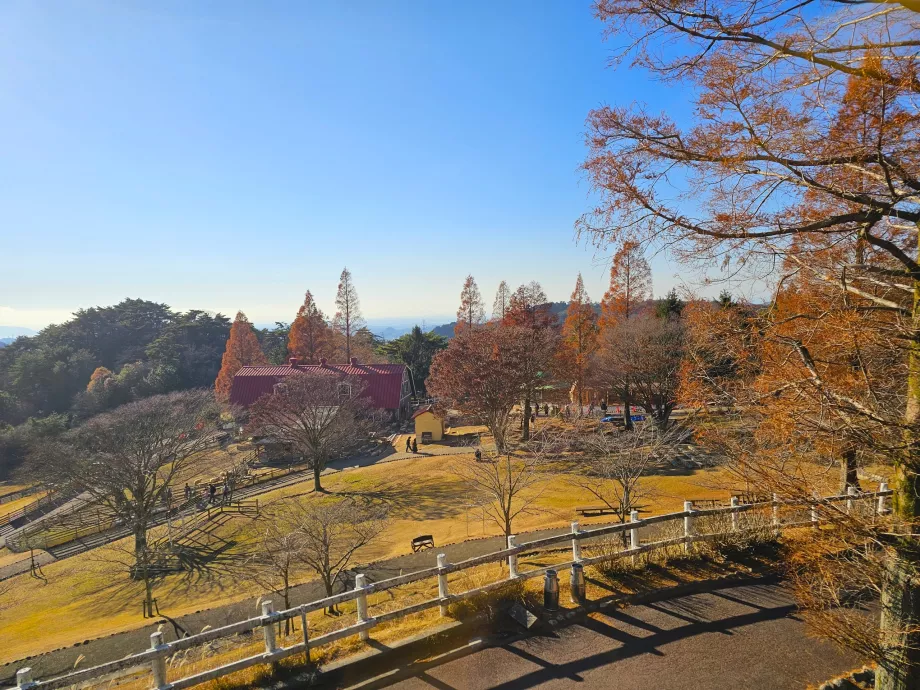 Pastagem de Rokkosan