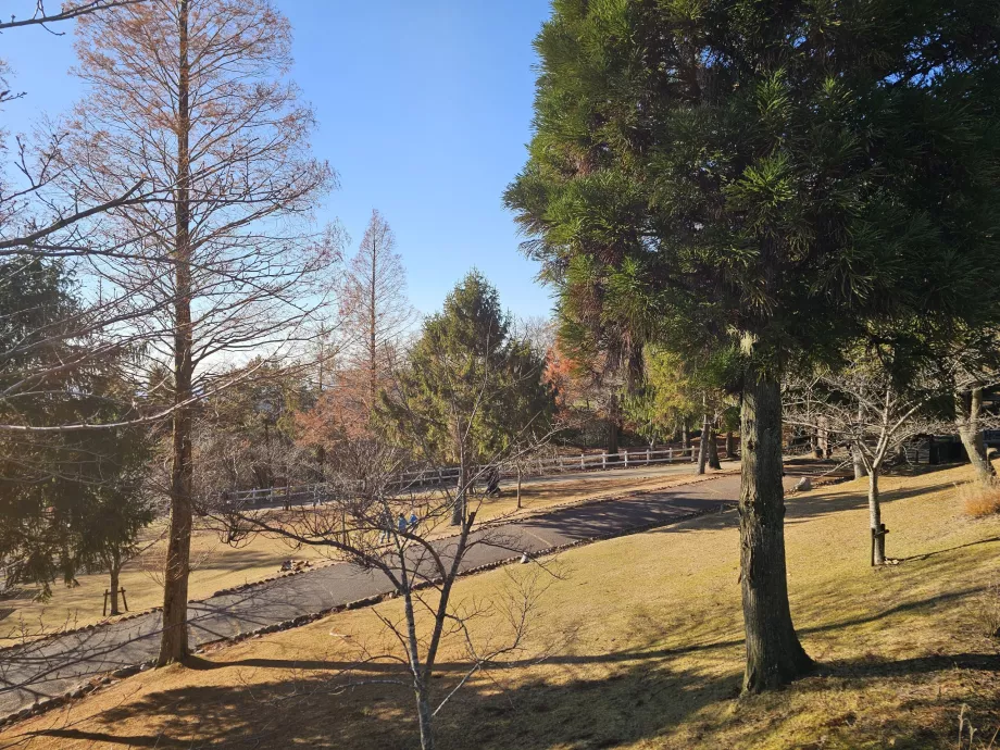 Pastagem de Rokkosan