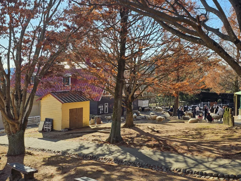 Pastagem de Rokkosan