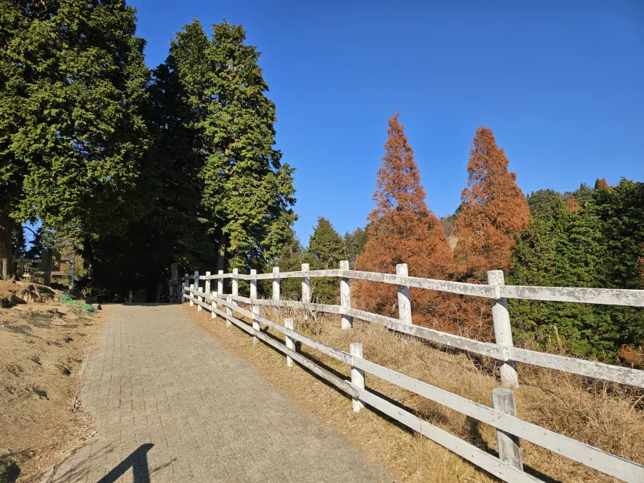 Pastagem de Rokkosan