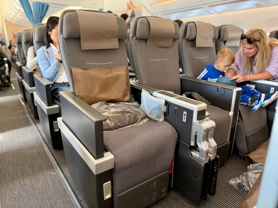 Lugares em Premium Economy