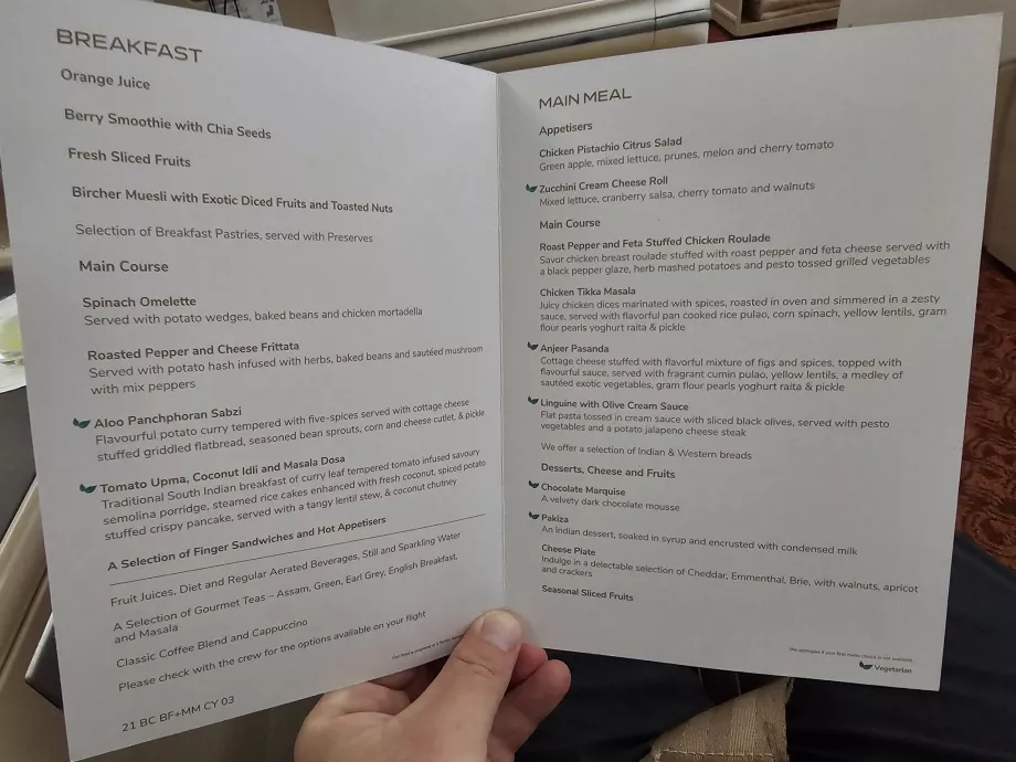 Menu do voo DEL-MEL