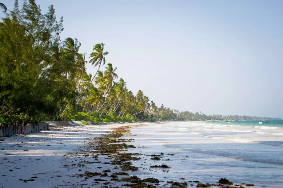 Praia de Bwejuu