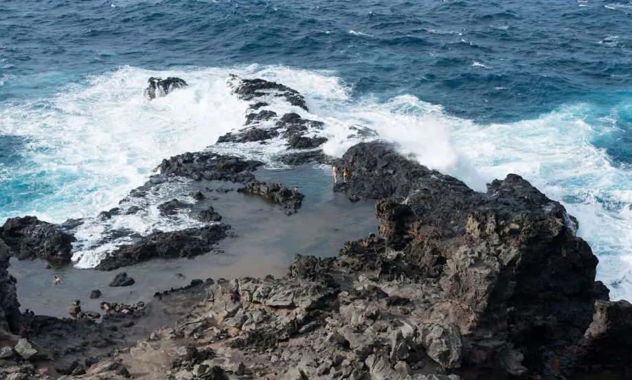 Piscinas de oliveiras