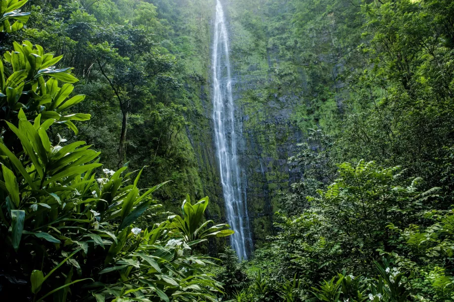 Cataratas de Waimoku