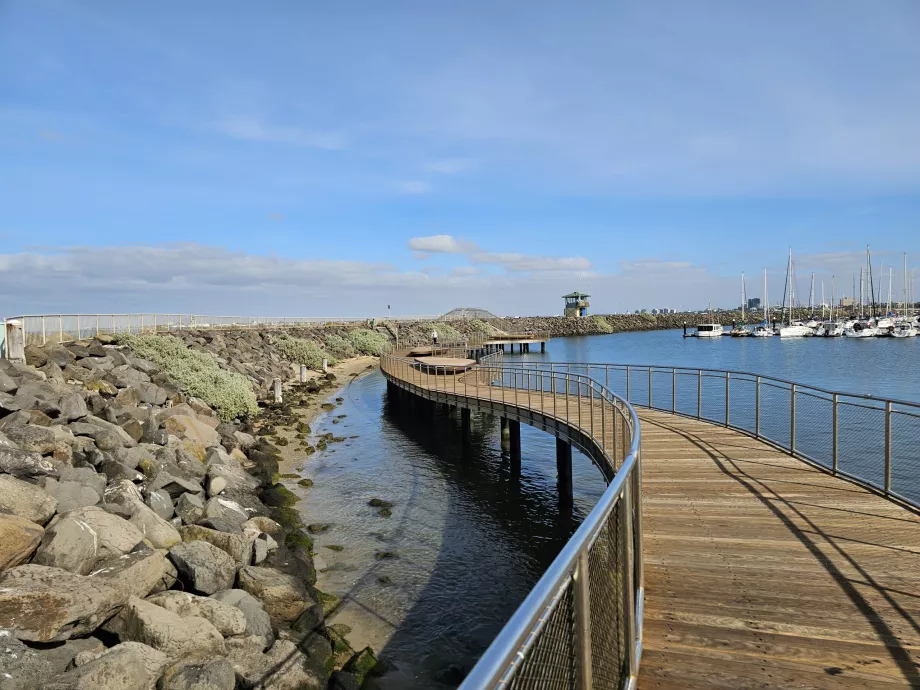 Pista de observação de pinguins no cais de St. Kilda