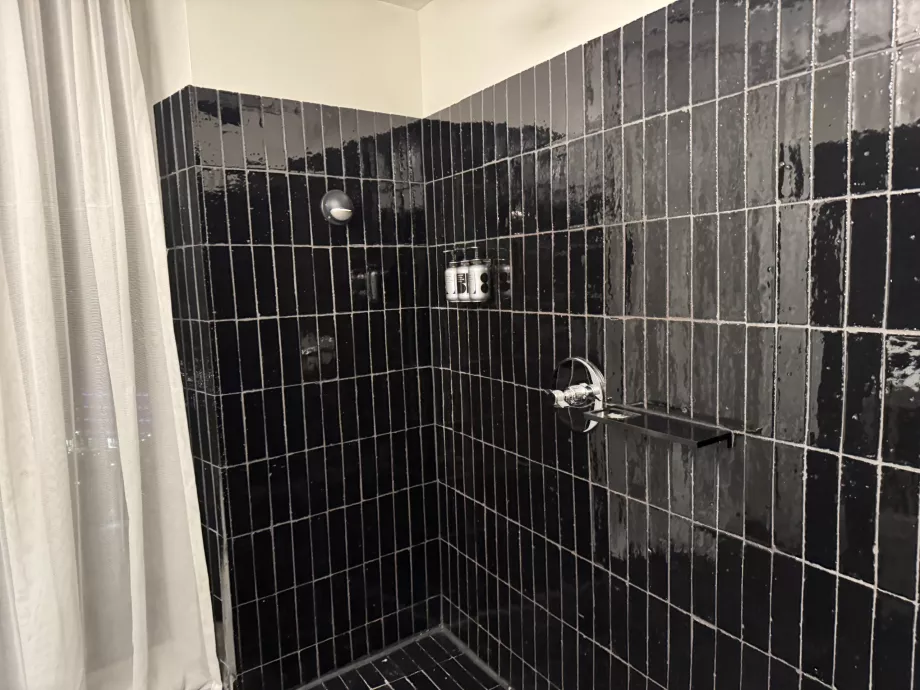 Apenas chuveiro de cabeça