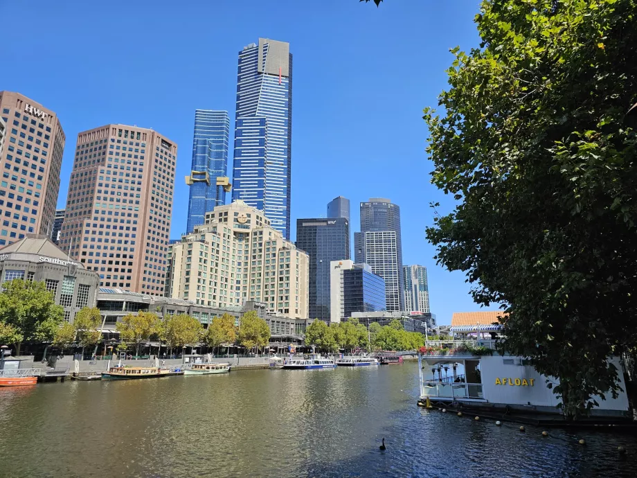 Rio Yarra