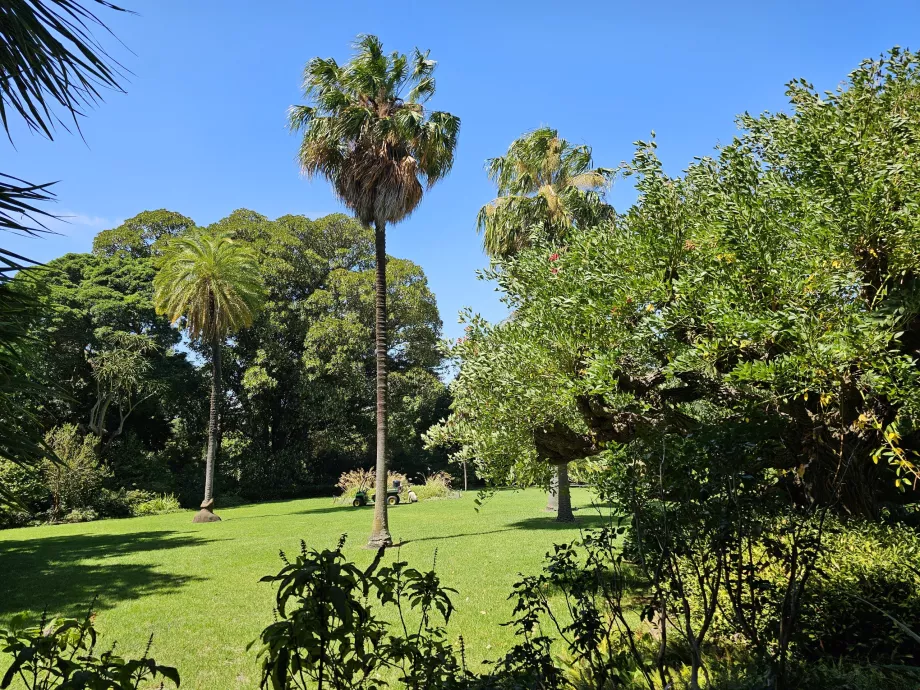 Jardins Botânicos Reais