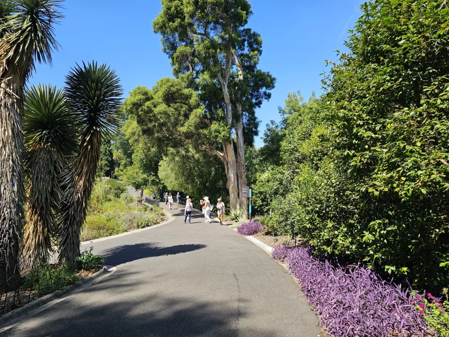 Jardins Botânicos Reais
