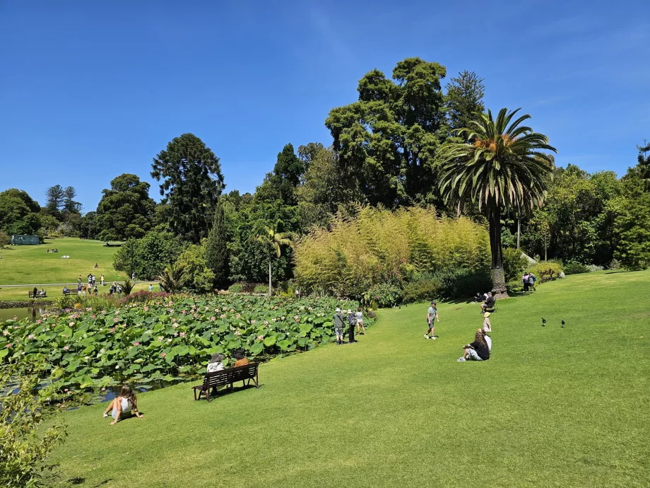 Jardins Botânicos Reais