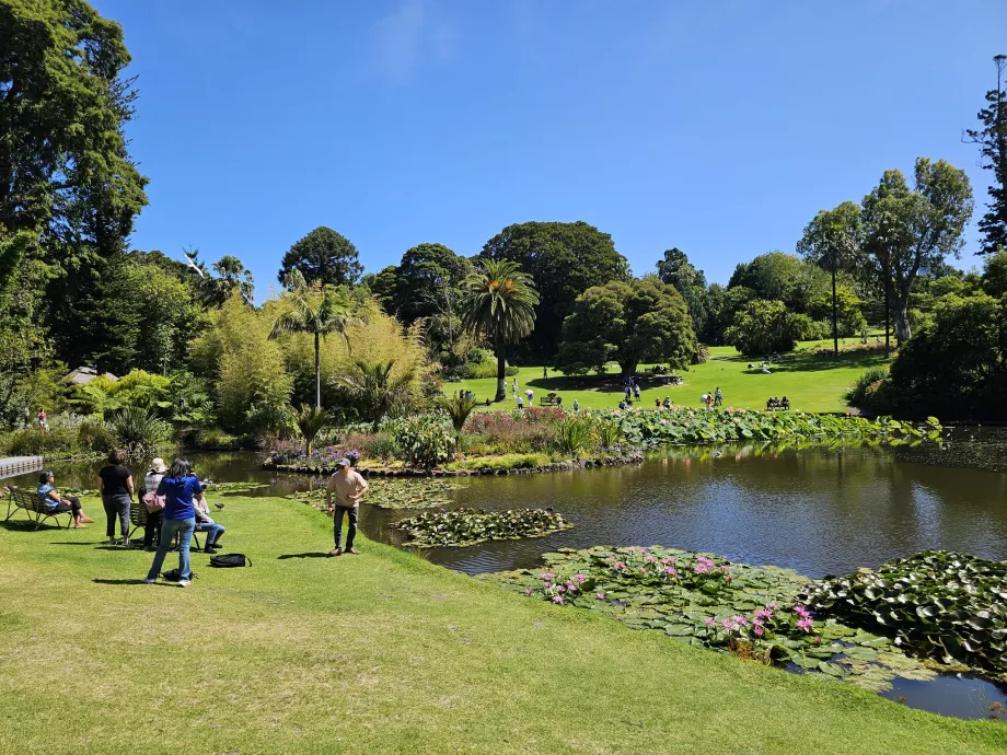 Jardins Botânicos Reais