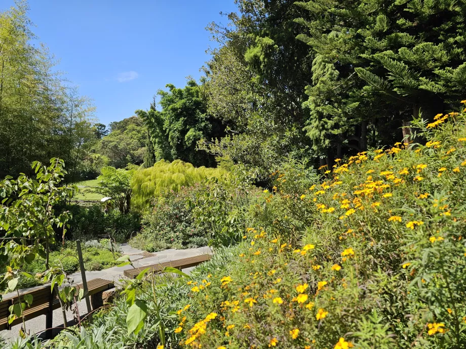 Jardins Botânicos Reais
