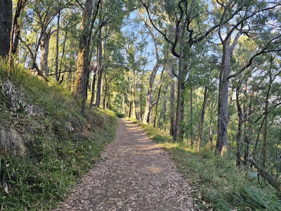 Cordilheira de Dandenong, trilho para caminhadas