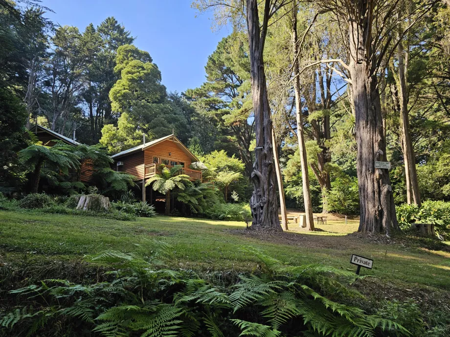 Cordilheira de Dandenong