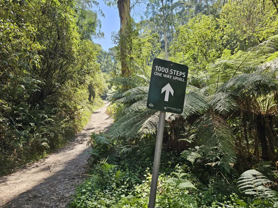1000 passos