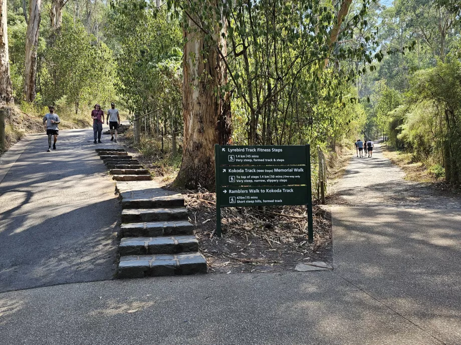 1000 passos