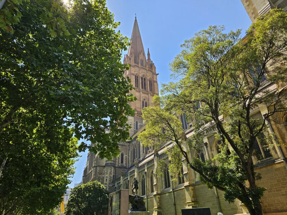 Catedral de S. Paulo