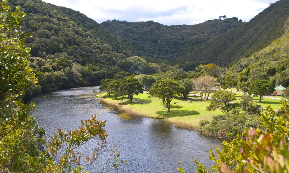 Natureza selvagem