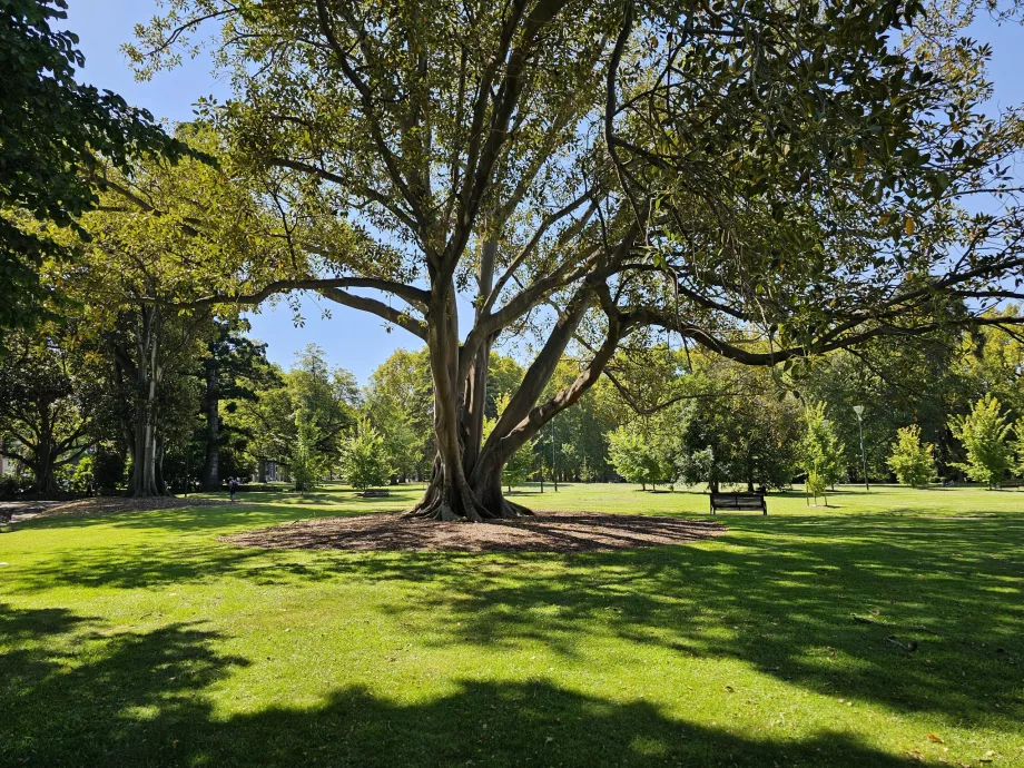 Jardins de Fitzroy