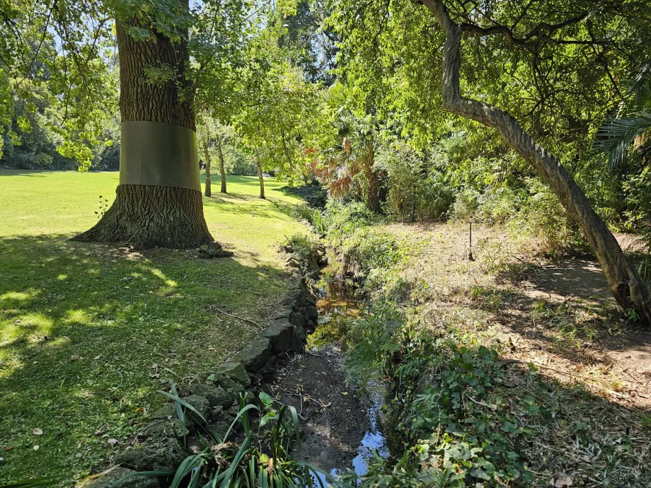 Jardins de Fitzroy