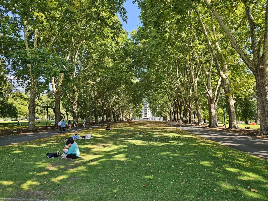 Jardins de Carlton