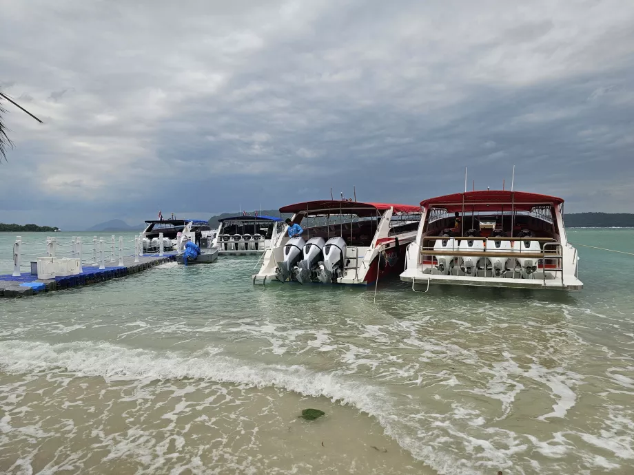 Barcos de turismo na Ilha dos Porcos
