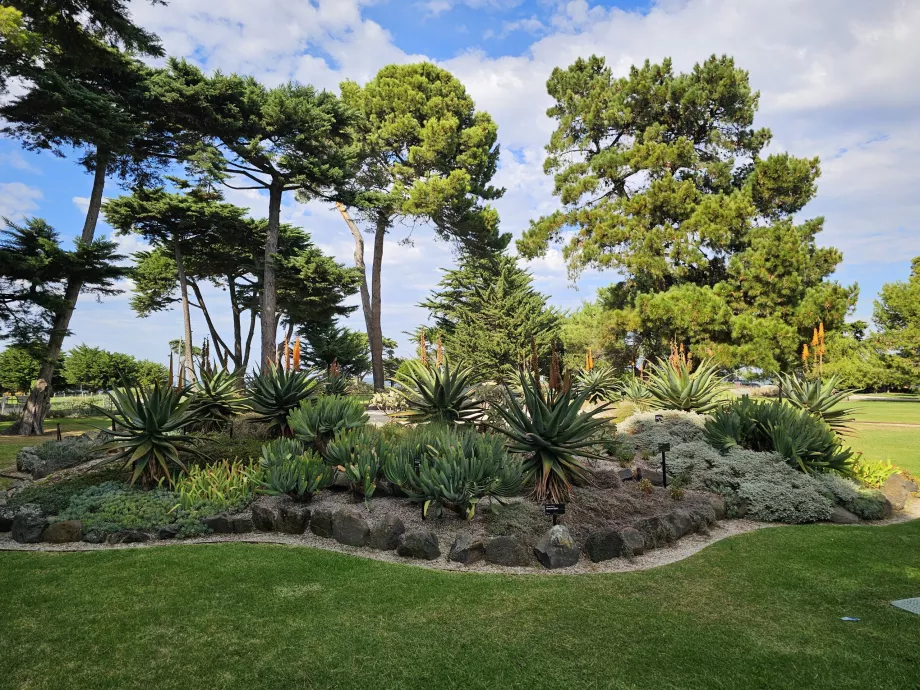 Jardins Botânicos de Williamstown