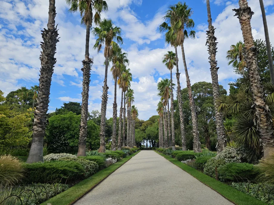 Jardins Botânicos de Williamstown