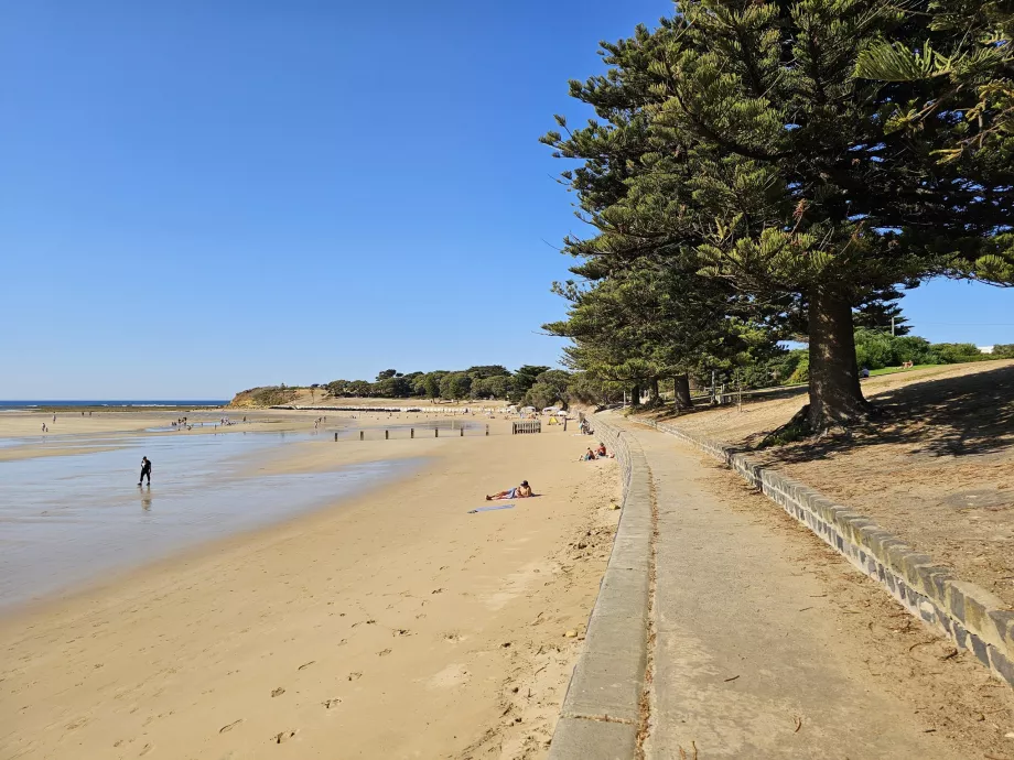 Passeio marítimo de Torquay